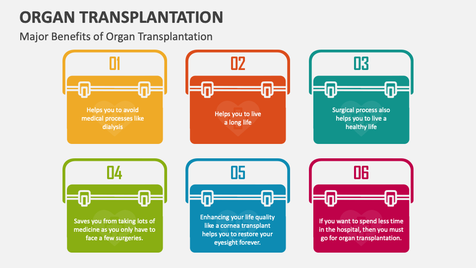 Organ Transplantation Powerpoint And Google Slides Template Ppt Slides