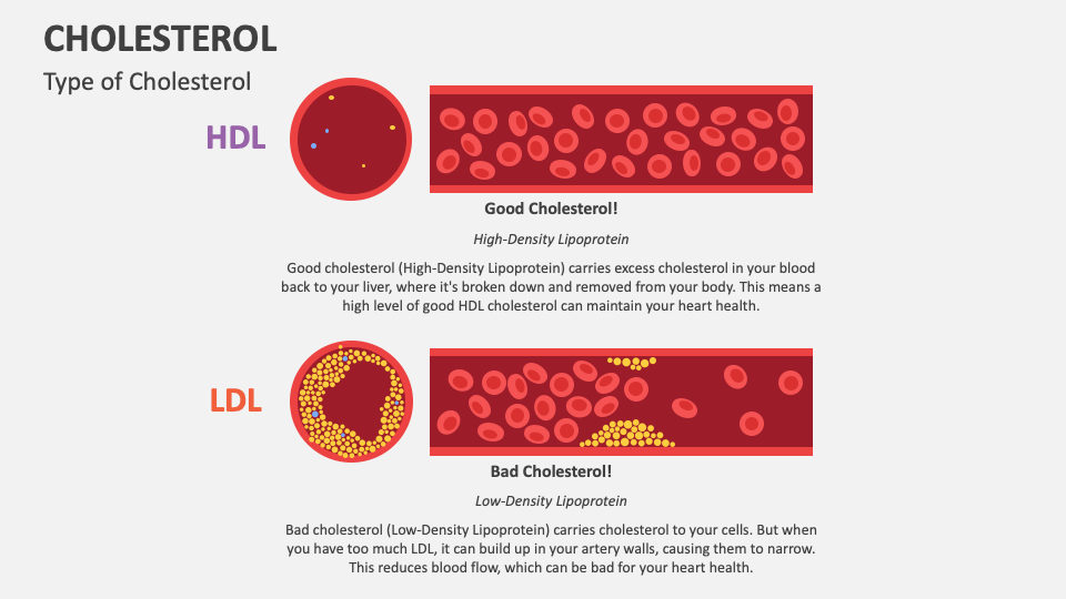 Cholesterol PowerPoint and Google Slides Template - PPT Slides