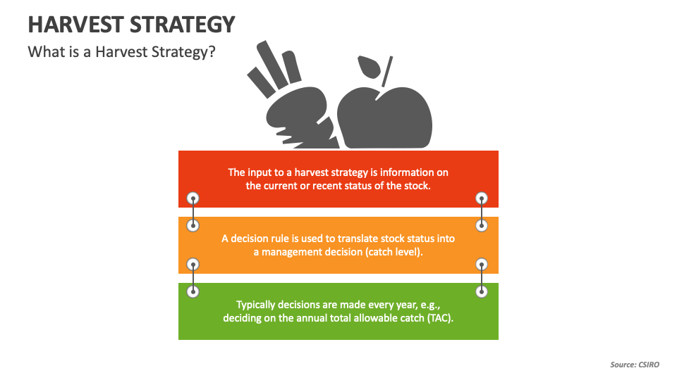 what is harvest strategy in business plan