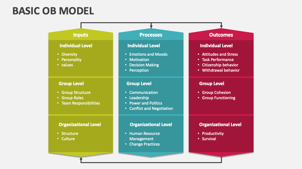 Basic OB Model PowerPoint Presentation Slides PPT Template   Basic Ob Model Slide2 