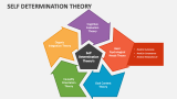 Self Determination Theory PowerPoint Presentation Slides - PPT Template