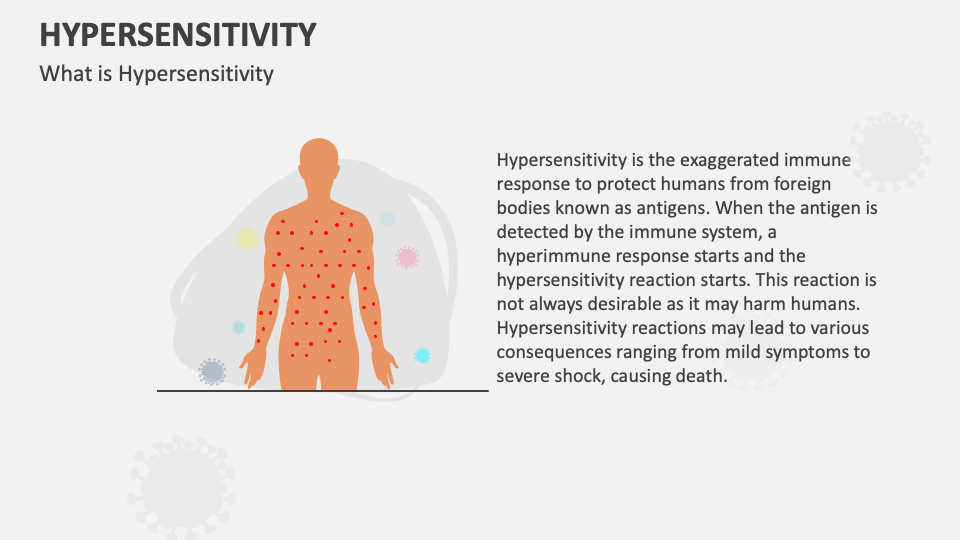 Hypersensitivity PowerPoint and Google Slides Template PPT Slides