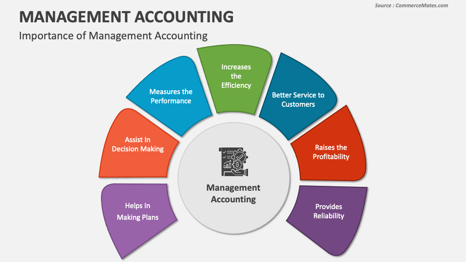 Management Accounting PowerPoint and Google Slides Template - PPT Slides