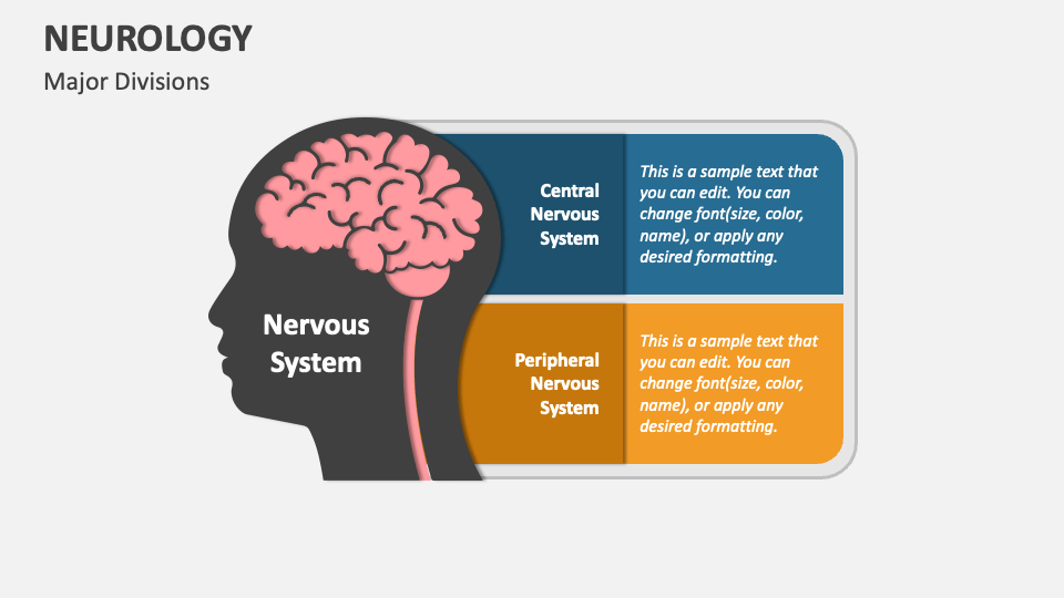 Neurology Powerpoint Presentation Slides Ppt Template 8399