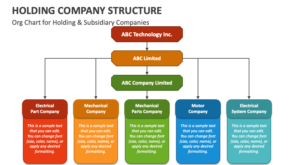 Holding Company Structure PowerPoint and Google Slides Template PPT