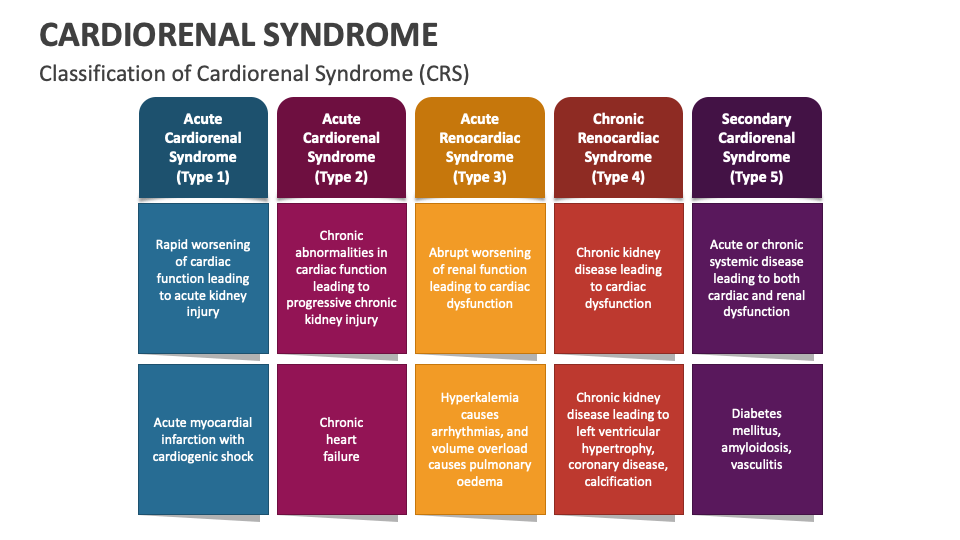 Cardiorenal Syndrome PowerPoint and Google Slides Template - PPT Slides