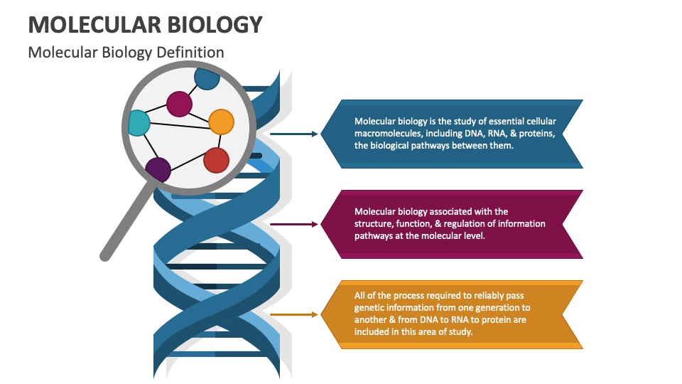 Molecular Biology PowerPoint and Google Slides Template PPT Slides