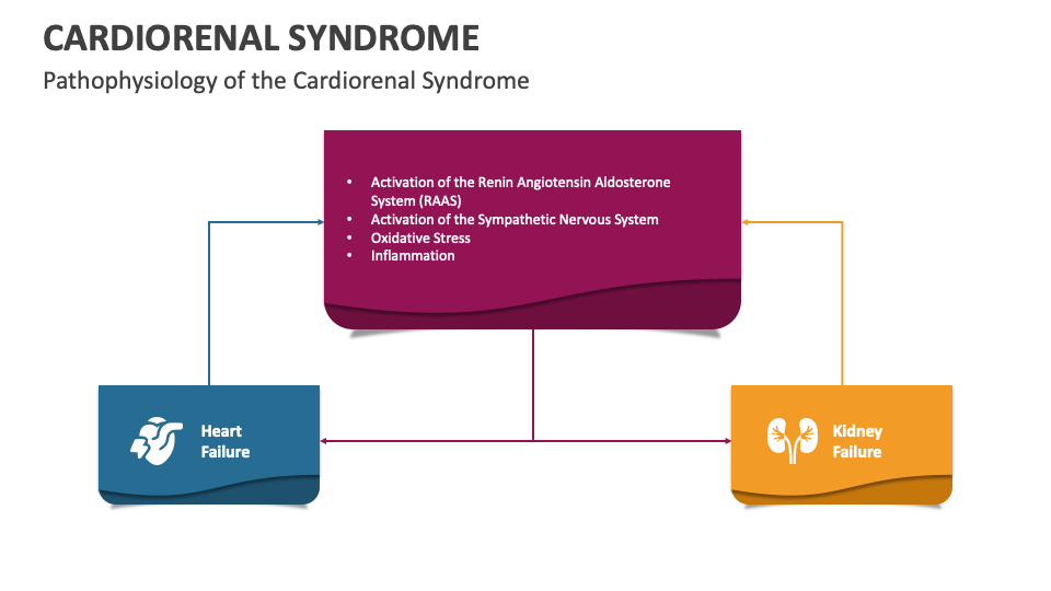 Cardiorenal Syndrome PowerPoint and Google Slides Template - PPT Slides