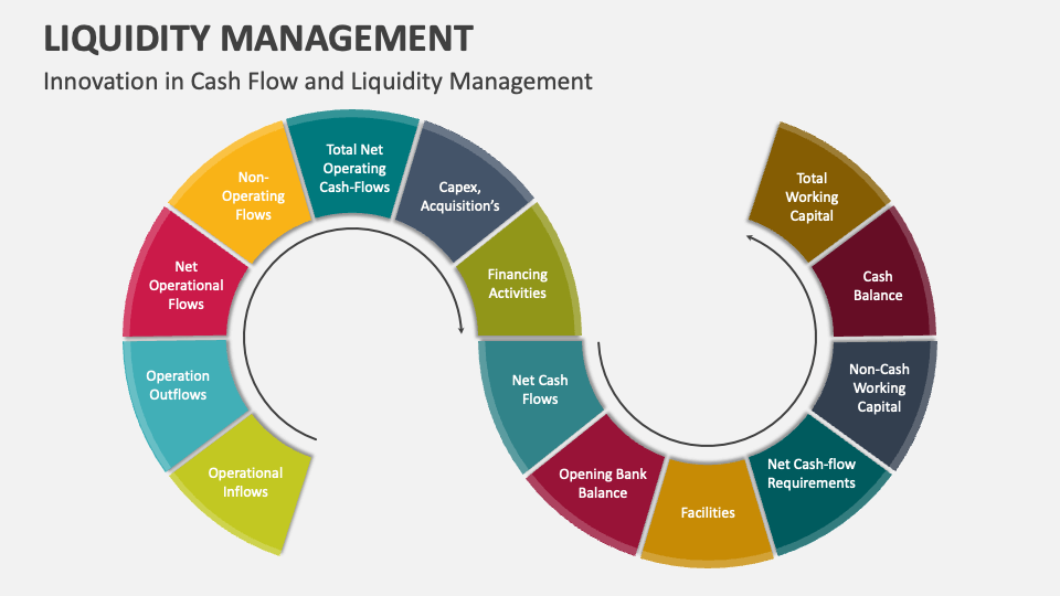 Liquidity Management PowerPoint And Google Slides Template - PPT Slides