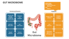 Gut Microbiome - Slide 1