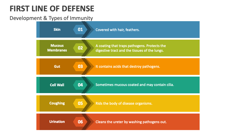 First Line of Defense PowerPoint Presentation Slides - PPT Template