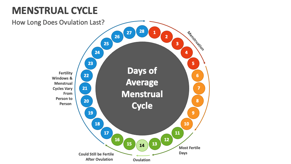 Menstrual Cycle PowerPoint Presentation Slides - PPT Template