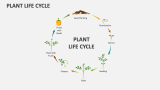 Plant Life Cycle Powerpoint And Google Slides Template - Ppt Slides