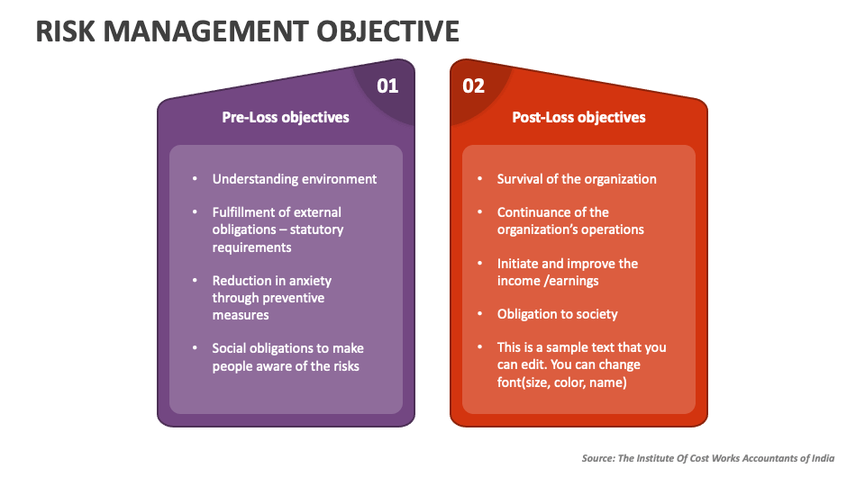 Objectives Of Risk Management Plan