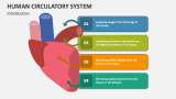 Human Circulatory System PowerPoint Presentation Slides - PPT Template