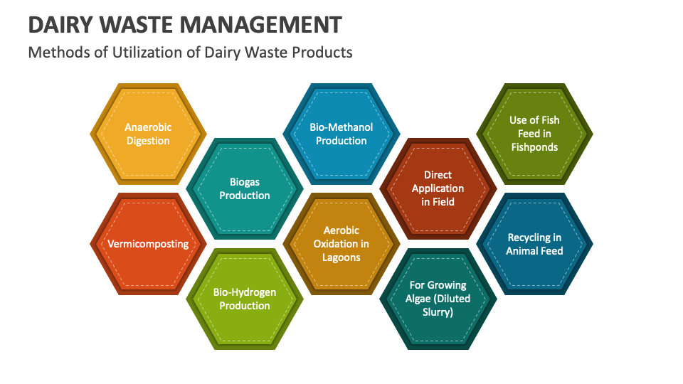 Dairy Waste Management PowerPoint and Google Slides Template - PPT Slides