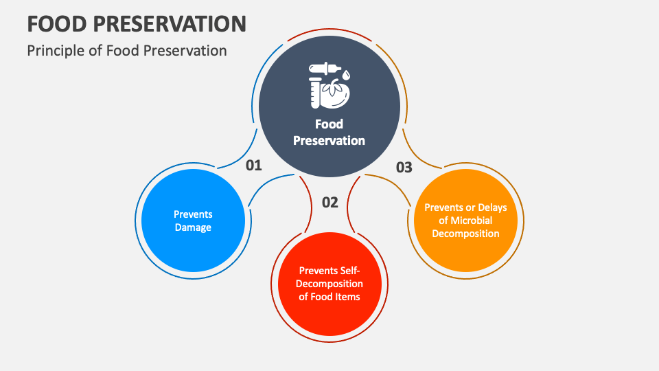 Food Preservation PowerPoint And Google Slides Template - PPT Slides