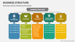 Summary Chart of Business Structure - Slide 1