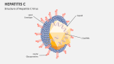 Hepatitis C PowerPoint and Google Slides Template - PPT Slides