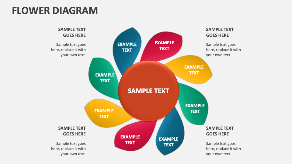 Flower Diagram Template for PowerPoint and Google Slides - PPT Slides