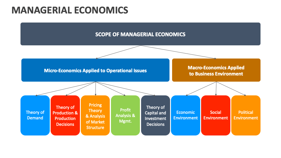 Managerial Economics PowerPoint and Google Slides Template - PPT Slides