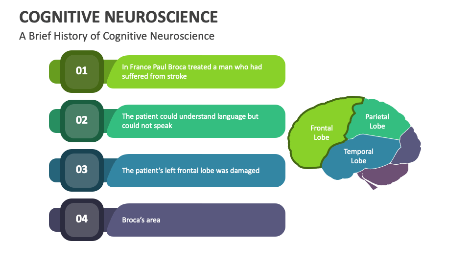 Cognitive Neuroscience PowerPoint and Google Slides Template - PPT Slides