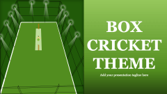 Box Cricket Theme - Slide 1