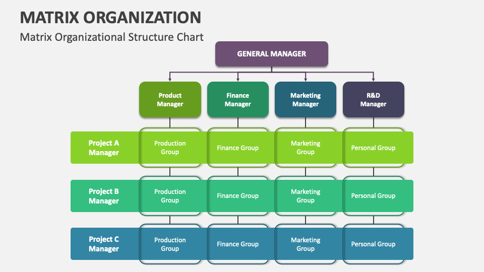 Matrix Organization Template for PowerPoint and Google Slides - PPT Slides