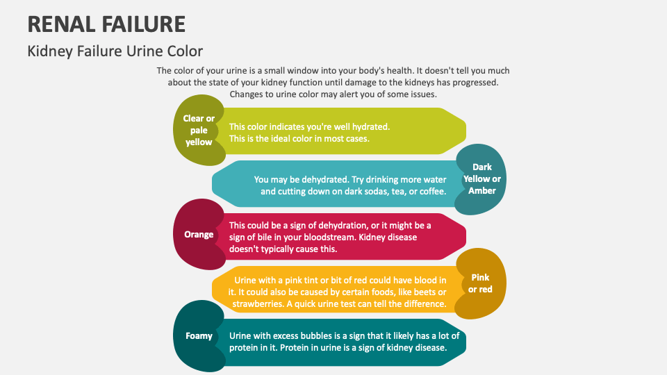 Renal Failure PowerPoint and Google Slides Template - PPT Slides
