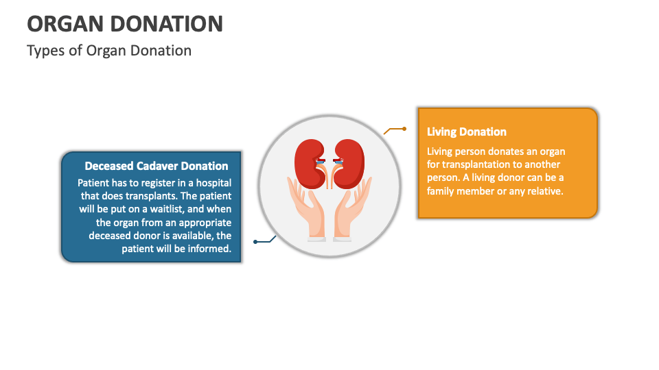 Organ Donation PowerPoint and Google Slides Template - PPT Slides